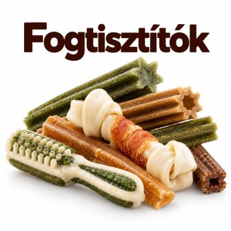 Fogtisztítók