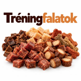 Tréningfalatok