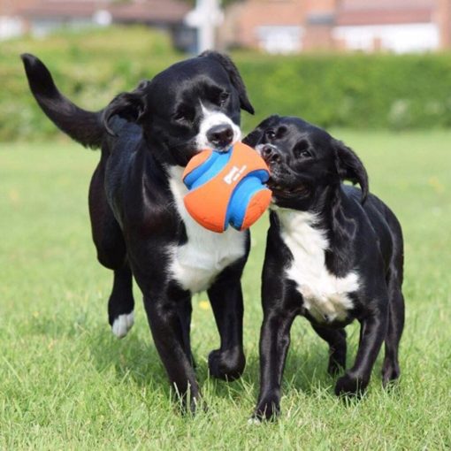 CHUCKIT KICK FETCH LABDA (L)