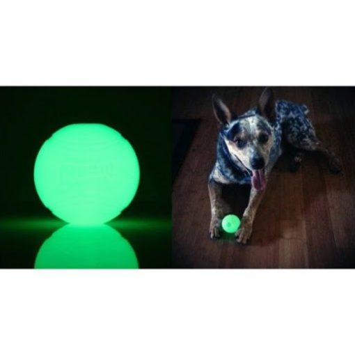 CHUCKIT MAX GLOW FLUORESZKÁLÓ LABDA (M)